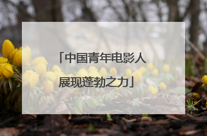 中国青年电影人展现蓬勃之力