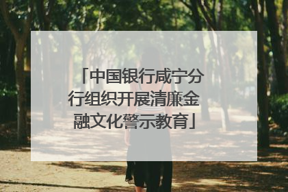 中国银行咸宁分行组织开展清廉金融文化警示教育
