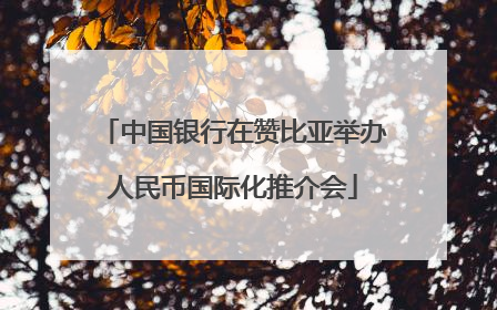 中国银行在赞比亚举办人民币国际化推介会