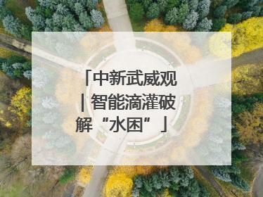 中新武威观｜智能滴灌破解“水困”