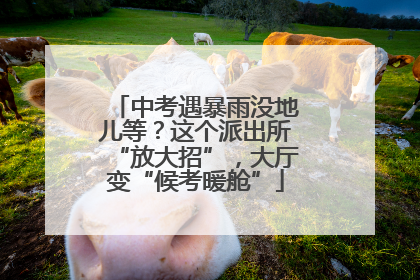 中考遇暴雨没地儿等？这个派出所“放大招”，大厅变“候考暖舱”