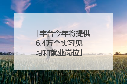 丰台今年将提供6.4万个实习见习和就业岗位