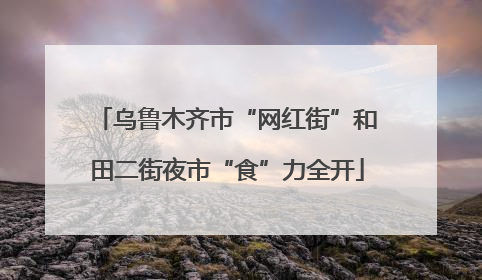 乌鲁木齐市“网红街”和田二街夜市“食”力全开