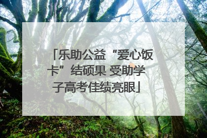 乐助公益“爱心饭卡”结硕果 受助学子高考佳绩亮眼