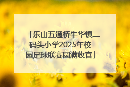 乐山五通桥牛华镇二码头小学2025年校园足球联赛圆满收官