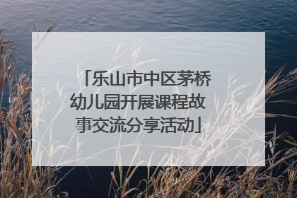 乐山市中区茅桥幼儿园开展课程故事交流分享活动