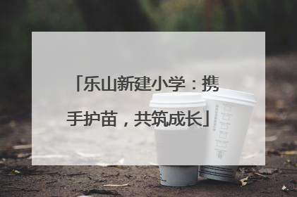 乐山新建小学：携手护苗，共筑成长