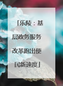 乐陵：基层政务服务改革跑出便民新速度