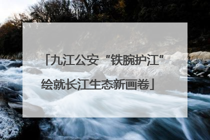 九江公安“铁腕护江”绘就长江生态新画卷