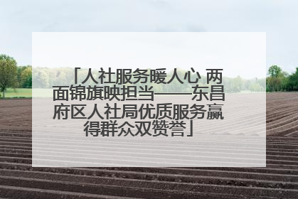 人社服务暖人心 两面锦旗映担当——东昌府区人社局优质服务赢得群众双赞誉