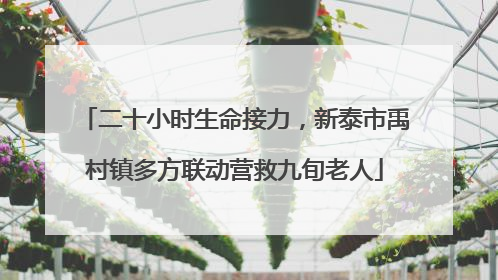 二十小时生命接力，新泰市禹村镇多方联动营救九旬老人