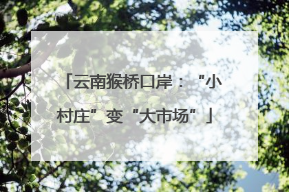 云南猴桥口岸：“小村庄”变“大市场”