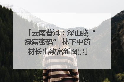云南普洱：深山藏“绿富密码” 林下中药材长出致富新图景
