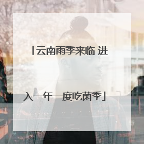 云南雨季来临 进入一年一度吃菌季