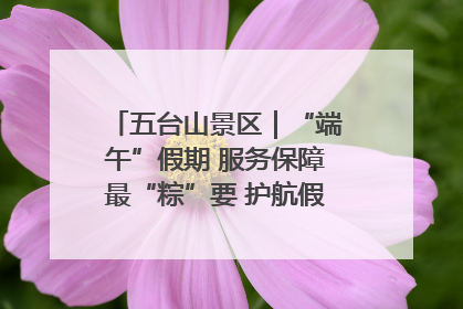 五台山景区｜“端午”假期 服务保障最“粽”要 护航假期“不打烊”