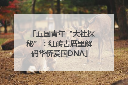 五国青年“大社探秘”：红砖古厝里解码华侨爱国DNA