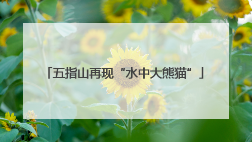 五指山再现“水中大熊猫”