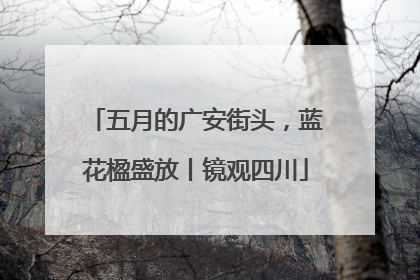 五月的广安街头，蓝花楹盛放丨镜观四川