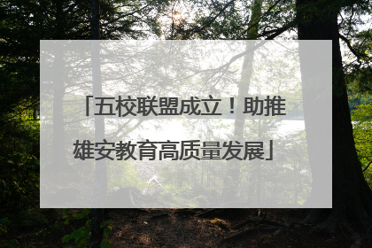 五校联盟成立！助推雄安教育高质量发展