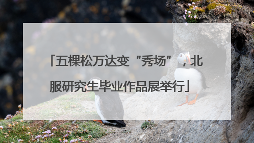 五棵松万达变“秀场”，北服研究生毕业作品展举行