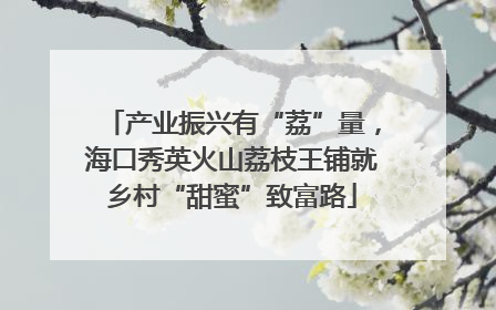 产业振兴有“荔”量，海口秀英火山荔枝王铺就乡村“甜蜜”致富路