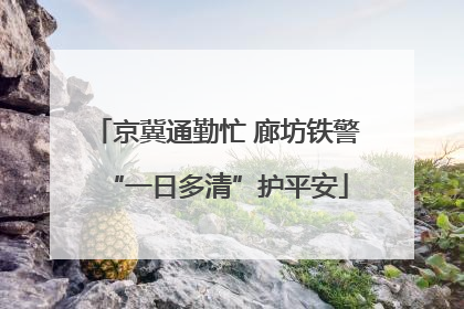 京冀通勤忙 廊坊铁警“一日多清”护平安