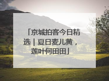 京城拍客今日精选｜夏日麦儿黄，莲叶何田田
