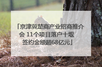 京津冀楚商产业招商推介会 11个项目落户十堰 签约金额超68亿元