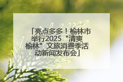 亮点多多！榆林市举行2025“清爽榆林”文旅消费季活动新闻发布会