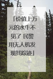 价值上万元的水牛不见了 民警用无人机发现其踪迹