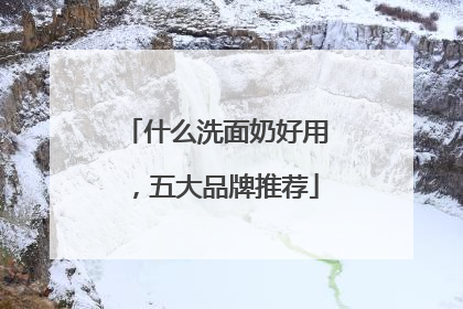 什么洗面奶好用，五大品牌推荐