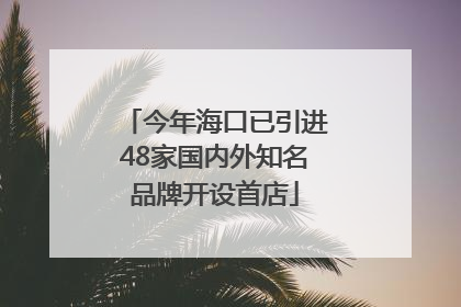 今年海口已引进48家国内外知名品牌开设首店
