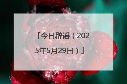 今日辟谣（2025年5月29日）