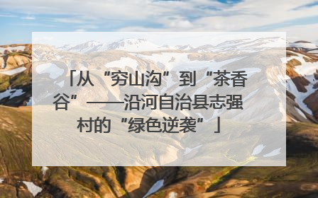 从“穷山沟”到“茶香谷”——沿河自治县志强村的“绿色逆袭”