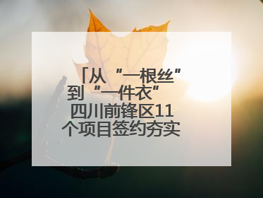 从“一根丝”到“一件衣” 四川前锋区11个项目签约夯实轻纺全产业链