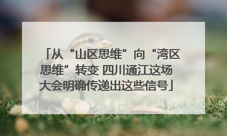 从“山区思维”向“湾区思维”转变 四川通江这场大会明确传递出这些信号