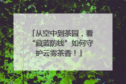 从空中到茶园，看“藏蓝防线”如何守护云雾茶香！