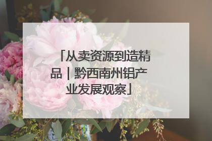 从卖资源到造精品｜黔西南州铝产业发展观察