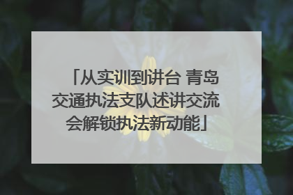 从实训到讲台 青岛交通执法支队述讲交流会解锁执法新动能