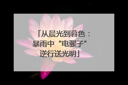 从晨光到暮色：暴雨中“电骡子”逆行送光明