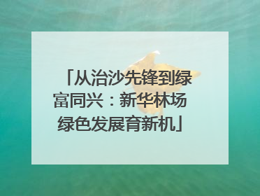 从治沙先锋到绿富同兴：新华林场绿色发展育新机