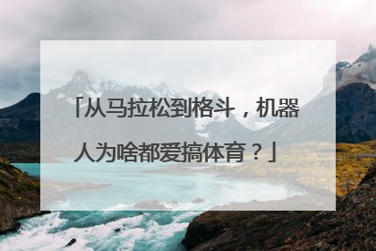 从马拉松到格斗，机器人为啥都爱搞体育？