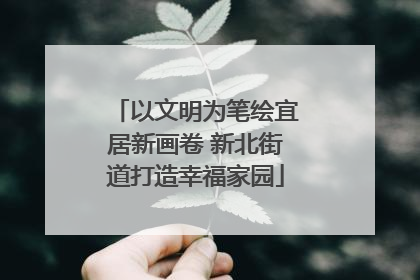 以文明为笔绘宜居新画卷 新北街道打造幸福家园