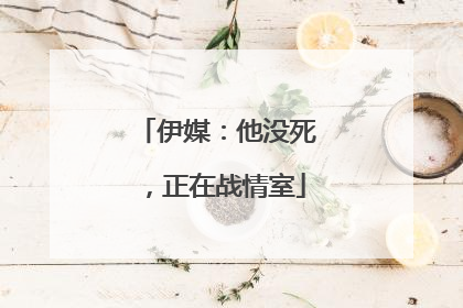 伊媒：他没死，正在战情室