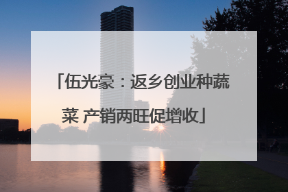 伍光豪：返乡创业种蔬菜 产销两旺促增收