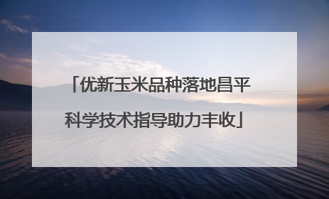 优新玉米品种落地昌平 科学技术指导助力丰收