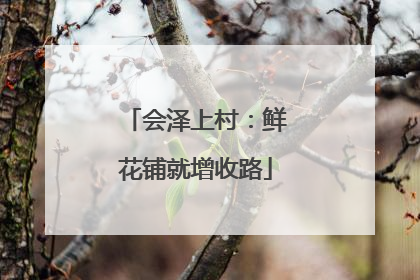 会泽上村：鲜花铺就增收路