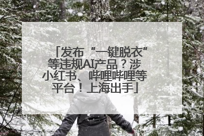 发布“一键脱衣”等违规AI产品？涉小红书、哔哩哔哩等平台！上海出手