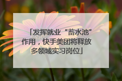 发挥就业“蓄水池”作用，快手美团将释放多领域实习岗位