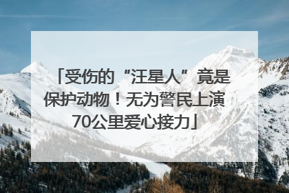 受伤的“汪星人”竟是保护动物！无为警民上演70公里爱心接力